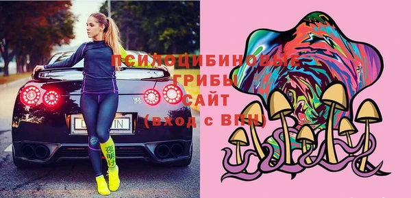 мдпв Абаза