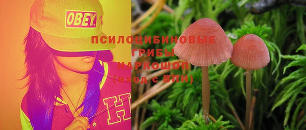 mdma Протвино